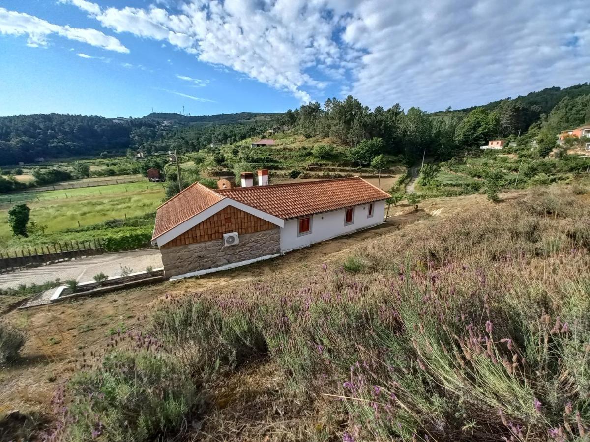 Quinta Da Peca Douro Vinhateiro Vila Real Esterno foto