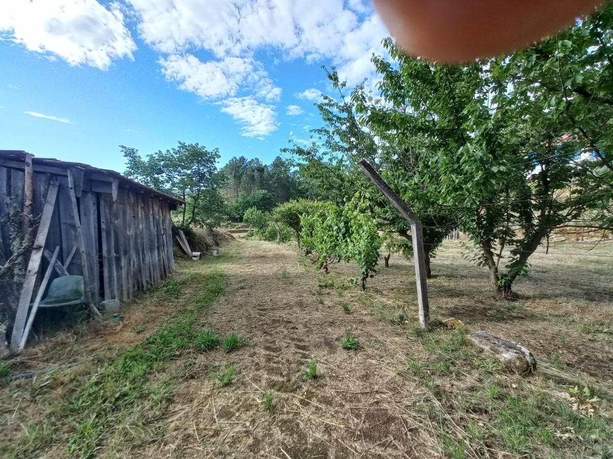 Quinta Da Peca Douro Vinhateiro Vila Real Esterno foto