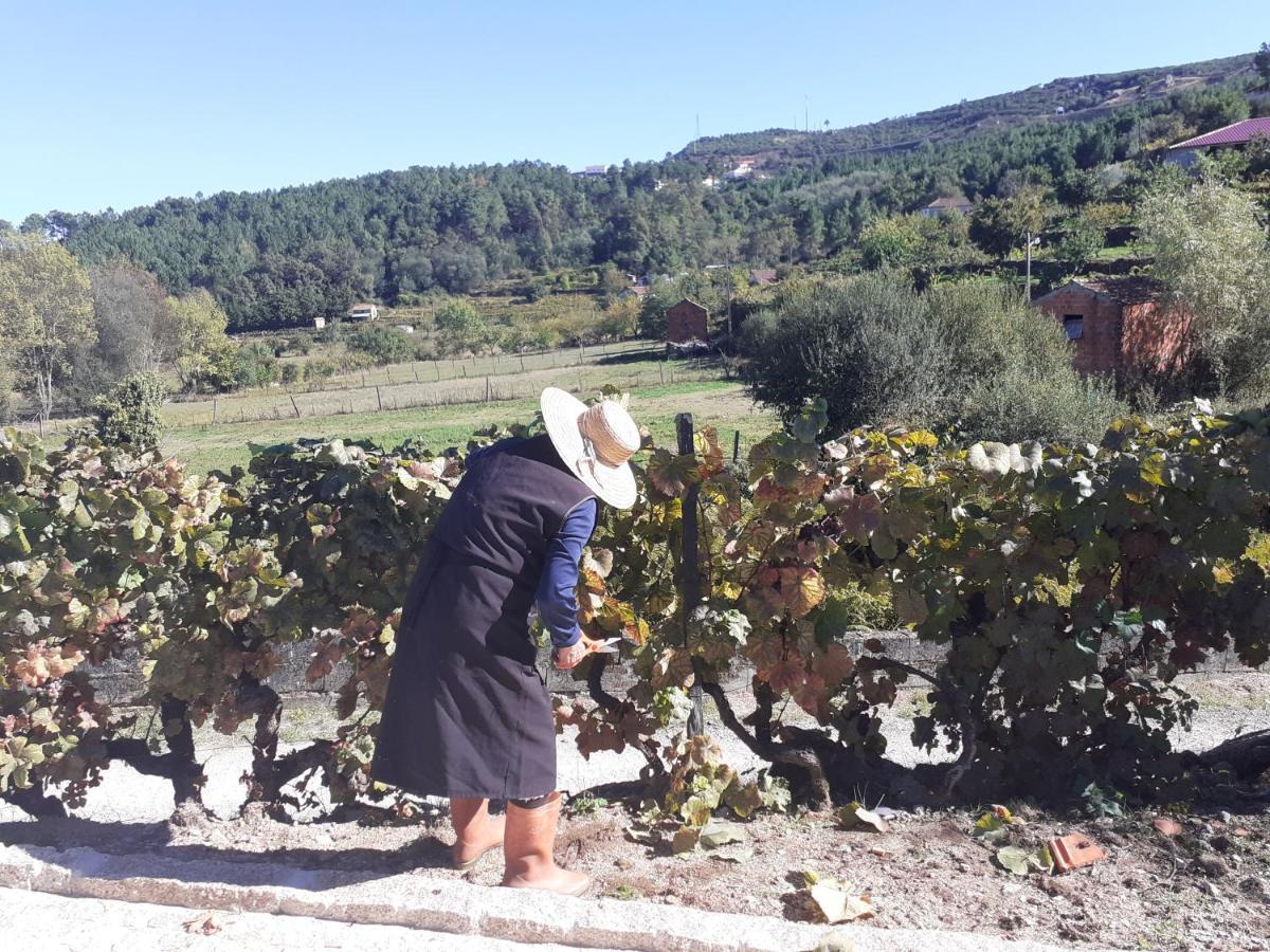 Quinta Da Peca Douro Vinhateiro Vila Real Esterno foto