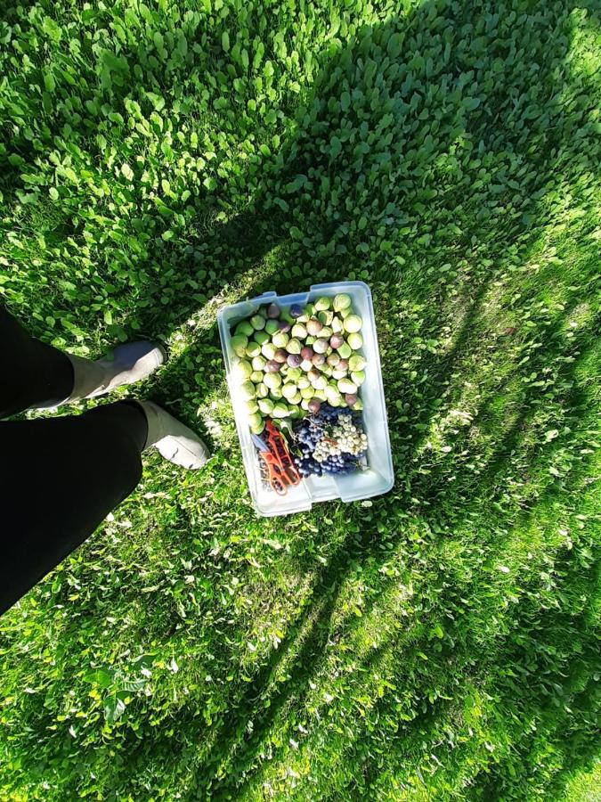 Quinta Da Peca Douro Vinhateiro Vila Real Esterno foto