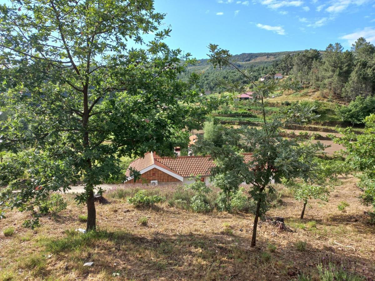 Quinta Da Peca Douro Vinhateiro Vila Real Esterno foto
