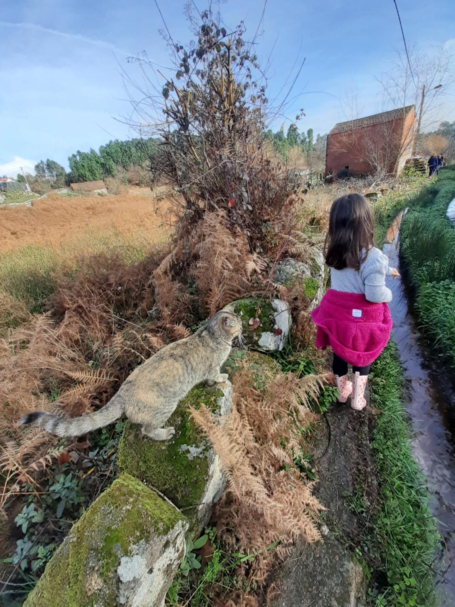 Quinta Da Peca Douro Vinhateiro Vila Real Esterno foto
