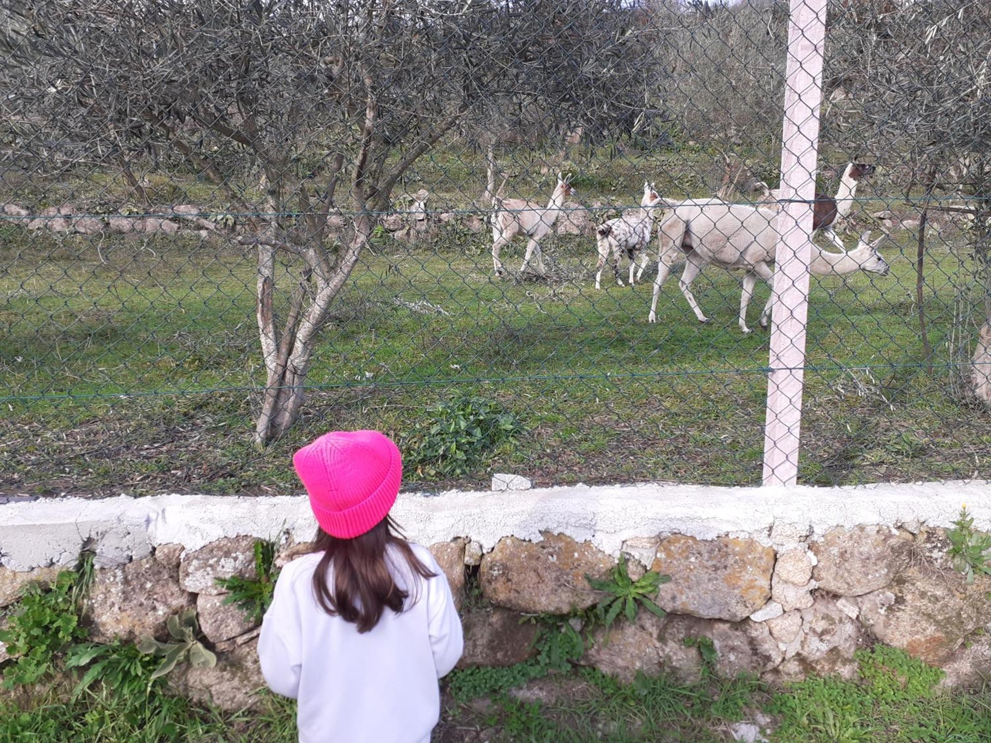 Quinta Da Peca Douro Vinhateiro Vila Real Esterno foto