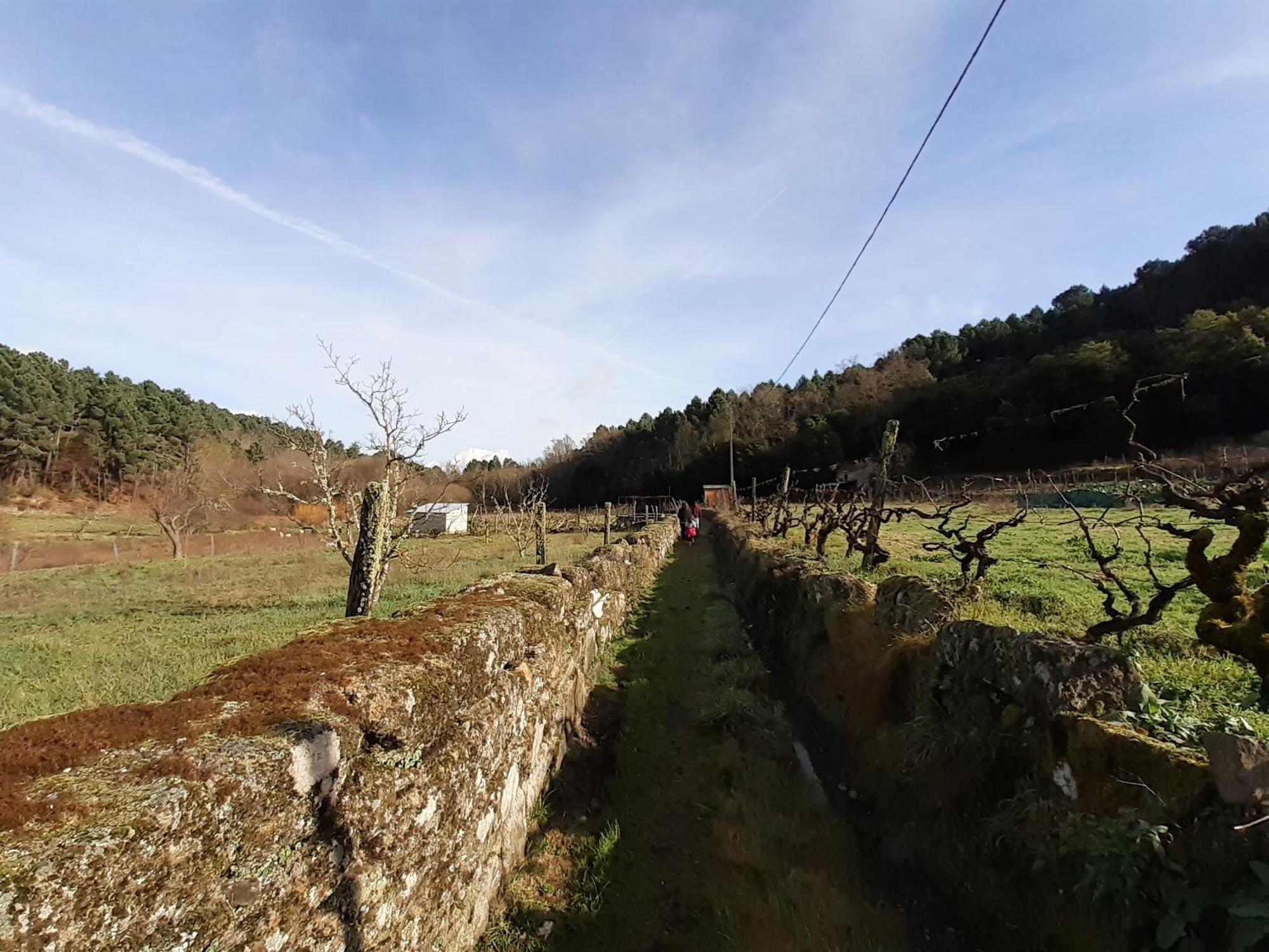Quinta Da Peca Douro Vinhateiro Vila Real Esterno foto