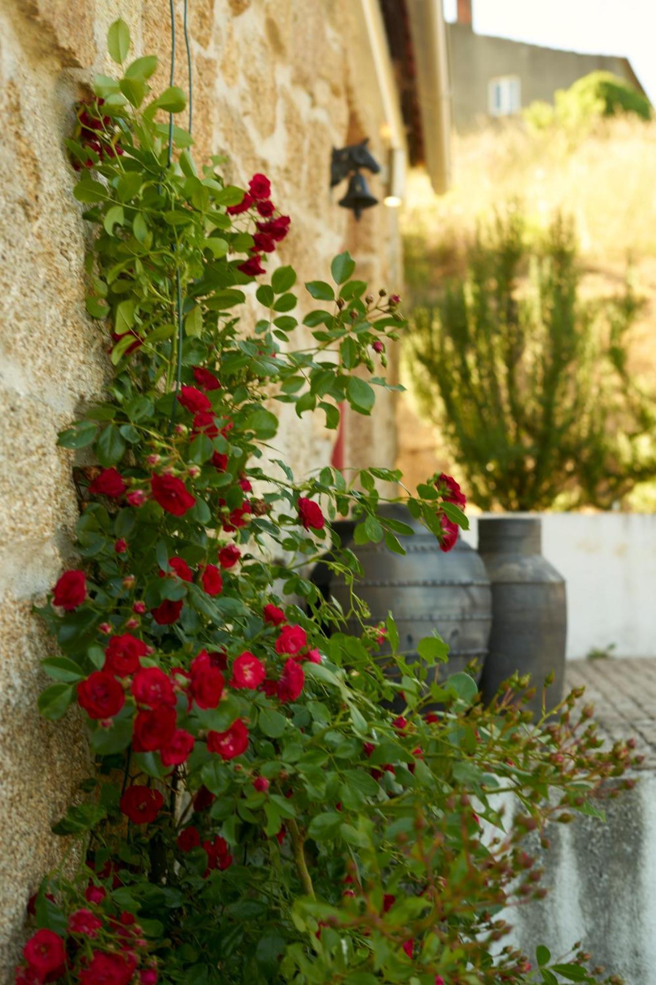 Quinta Da Peca Douro Vinhateiro Vila Real Esterno foto